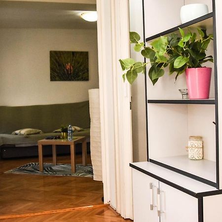 Apartment Kiwi Novi Sad Esterno foto